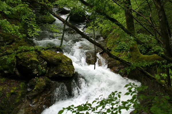 Wasserfall — Stockfoto