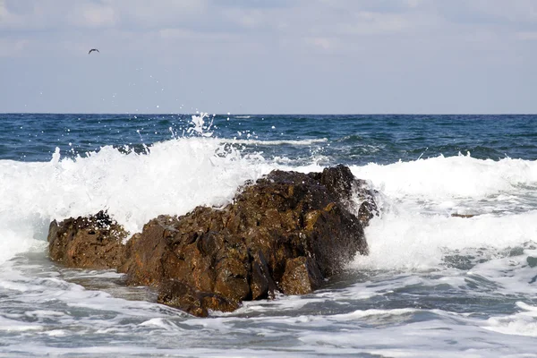 Rocky shore — Stock Photo, Image