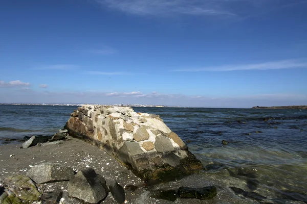Bord de mer avec rochers et coquillages — Photo