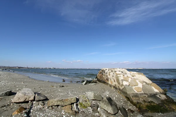 Bord de mer avec rochers et coquillages — Photo