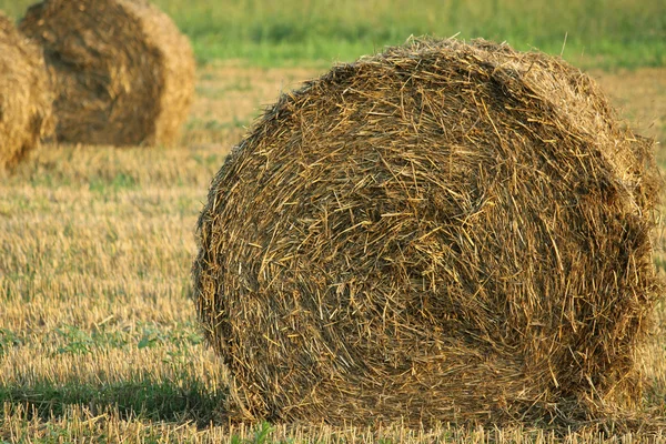 Kırsal kesimde saman balya — Stok fotoğraf