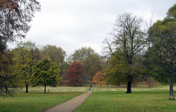 Park View in Autumn — Stock Photo, Image
