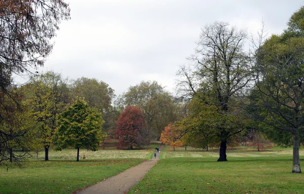 Park udsigt i efteråret - Stock-foto