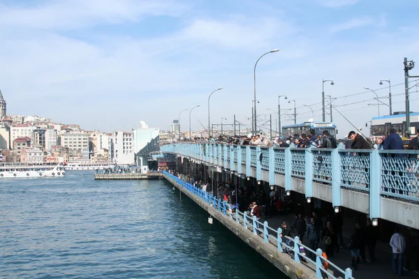 Pesca en el puente — Foto de Stock