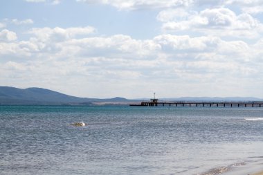 manzara