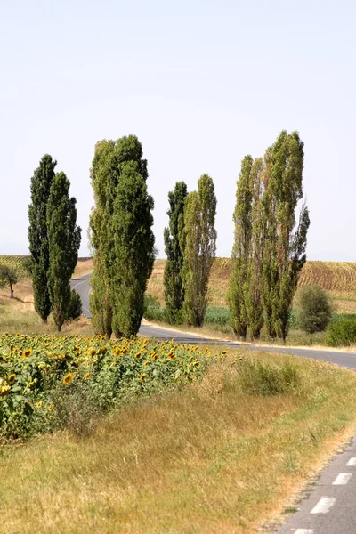 Autostrada — Foto Stock