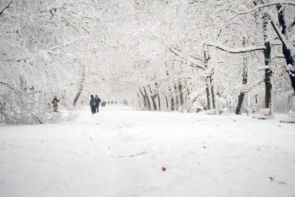 Escena de invierno —  Fotos de Stock