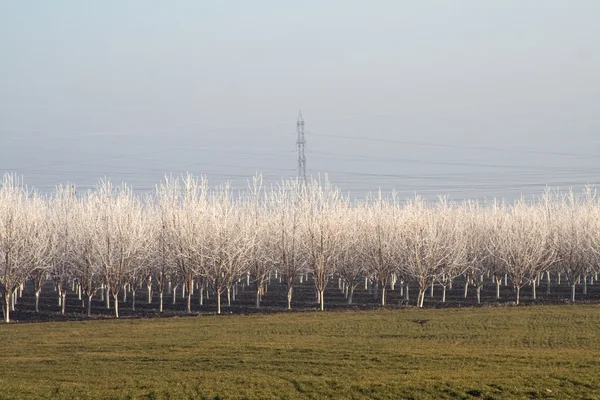 Landschaft — Stockfoto