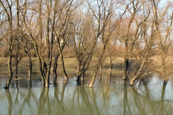 Al fiume. — Foto Stock