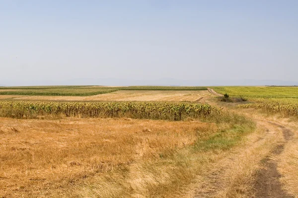 Schöne Landschaft — Stockfoto