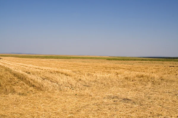 Schöne Landschaft — Stockfoto