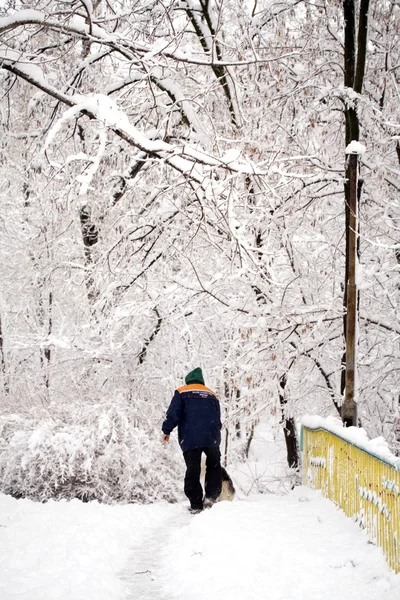 Escena de invierno —  Fotos de Stock