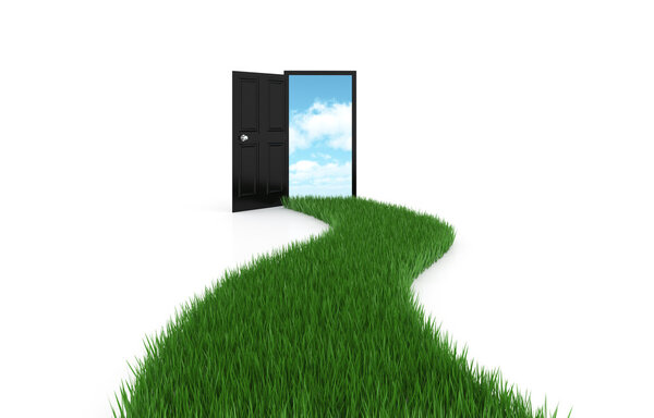 Open door on background sky with driveway grass
