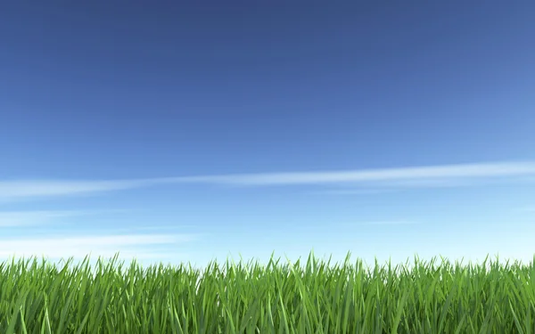 Céu azul e grama verde — Fotografia de Stock