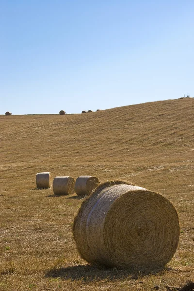 Hooi baal landschap — Stockfoto