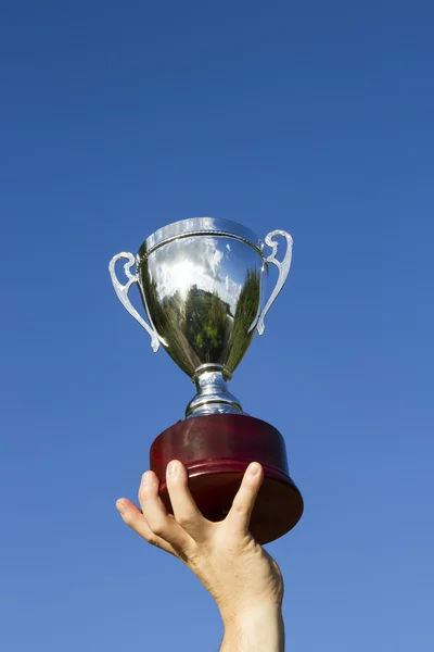 The Winner with Cup — Stock Photo, Image