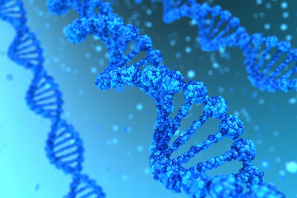 DNA Helix