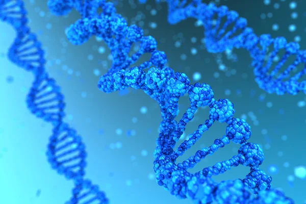 DNA-spiralen Stockfoto