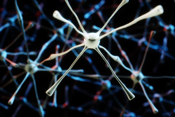 Neurons — Stock Photo, Image