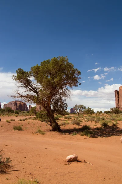 Anıt Vadisi Navajo Parkı — Stok fotoğraf