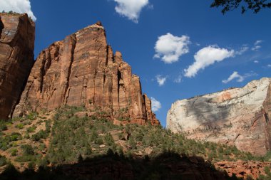 Zion Ulusal Parkı, Utah