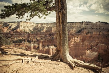 Bryce Kanyonu Ulusal Parkı