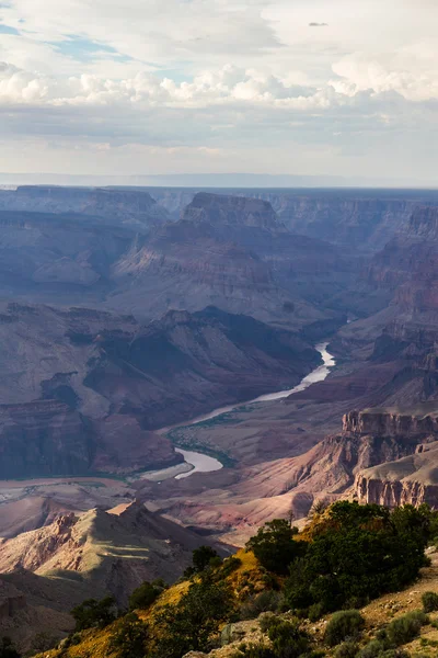 Panorama af Grand Canyon - Stock-foto