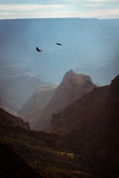 Panorama van grand canyon — Stockfoto