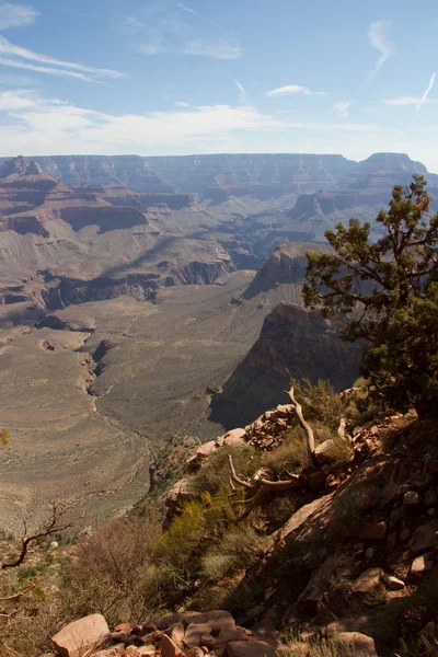 Panorama z grand canyon — Zdjęcie stockowe