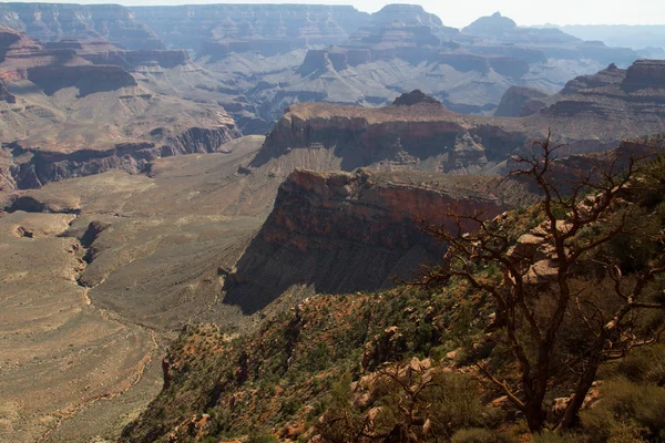 Panorama z grand canyon — Zdjęcie stockowe