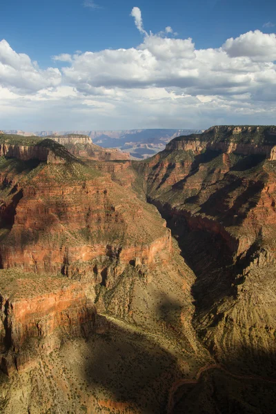 Panorama z grand canyon — Zdjęcie stockowe