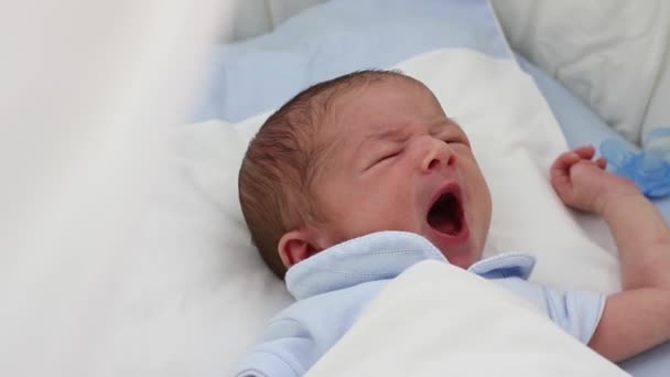 Newborn baby sleeping — Stock Video