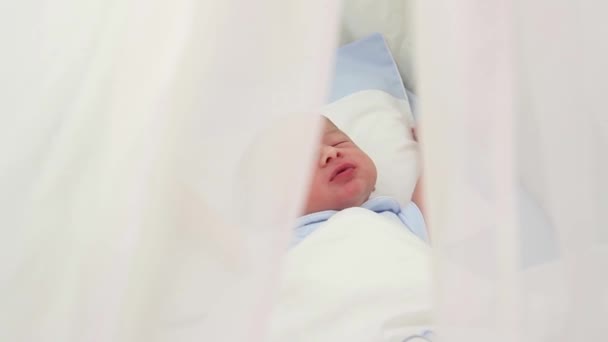 Bambino appena nato che dorme — Video Stock