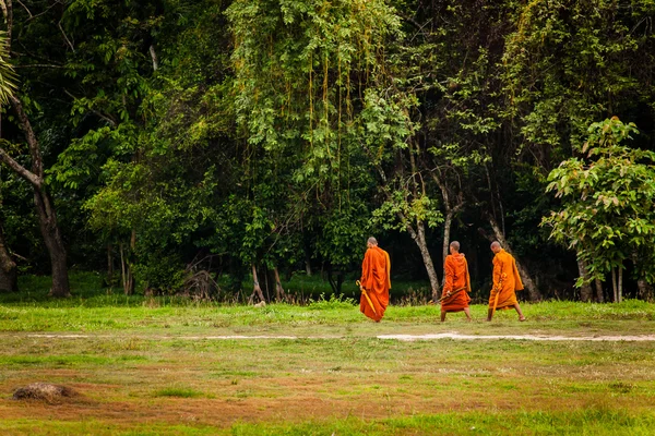 Three Monks walk on grass lawn (path) with umbrellas — Stock Photo, Image