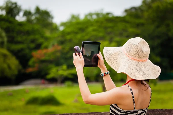 Turista femminile che utilizza un iPad per scattare foto nel tempio di Angkor Wat Immagini Stock Royalty Free