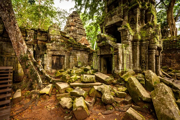 Albero di Ta Prohm, Angkor Wat Foto Stock Royalty Free