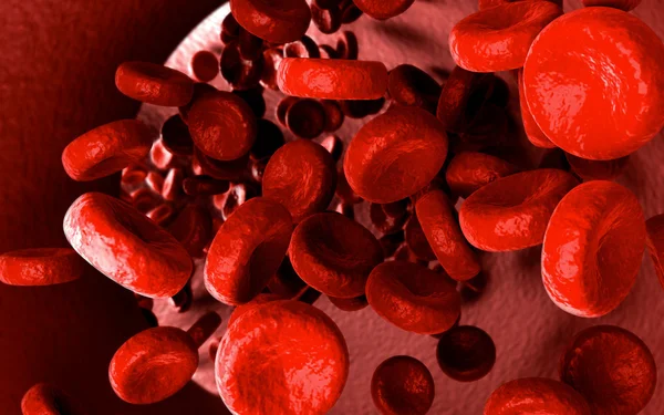 Streaming blood cells inside of vein — Stock Photo, Image