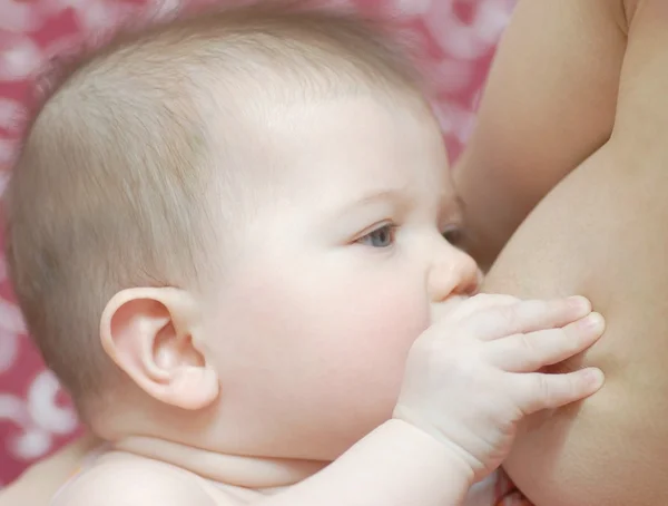 Novorozeně, jíst mateřského mléka — 图库照片