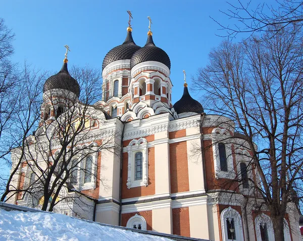 Alexander nevsky kathedrale, tallinn, estland — Stockfoto