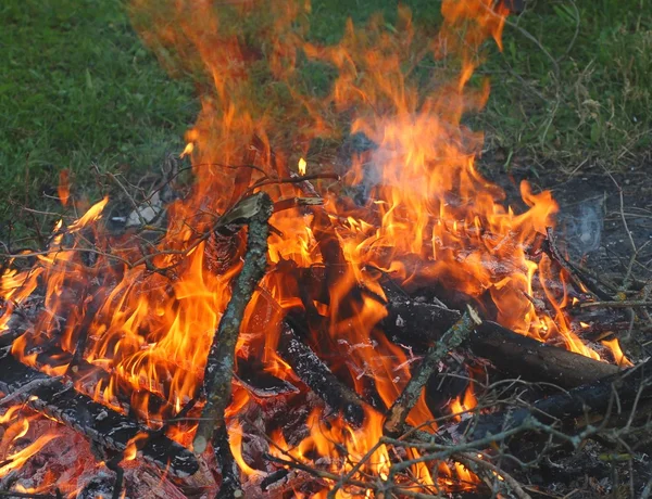 Burning branches — Stock Photo, Image