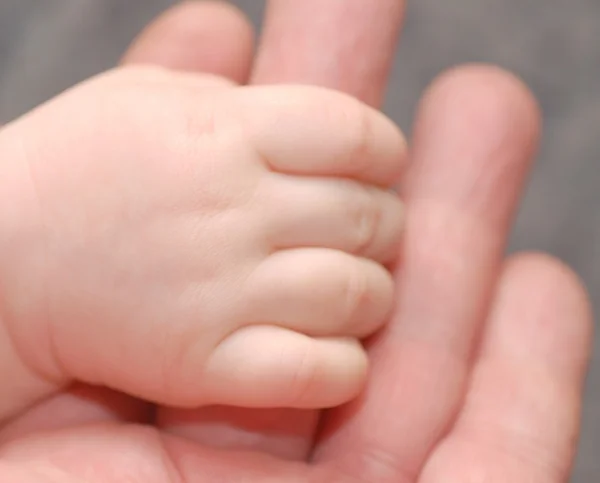 Mãos de bebê e pai — Fotografia de Stock