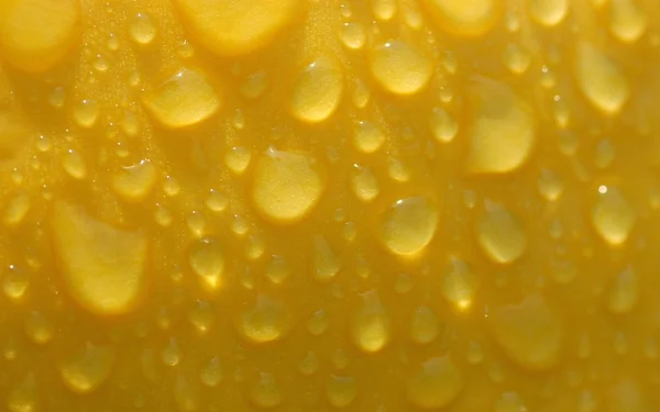 Gotas de água em uma abóbora — Fotografia de Stock