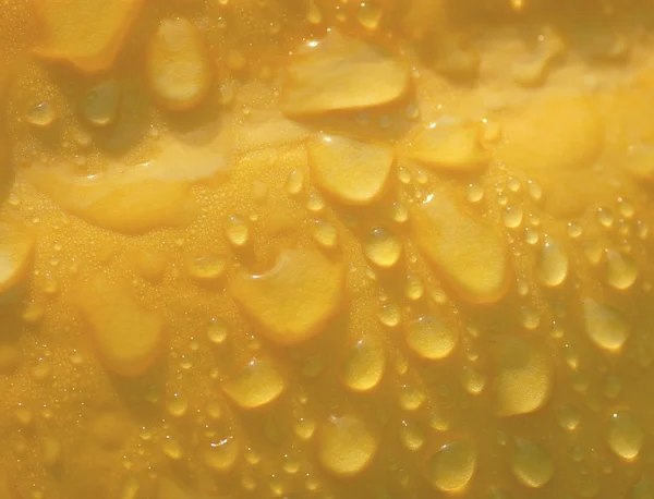 Gotas de água em uma abóbora — Fotografia de Stock