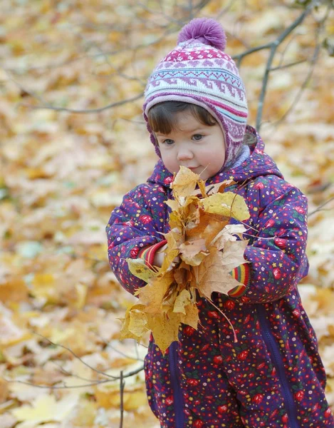 Portrett av baby i høstparken – stockfoto