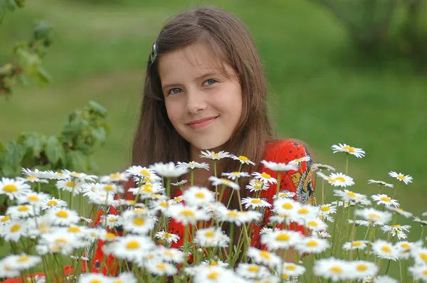 Ritratto di bella adolescente con fiori di camomilla Foto Stock