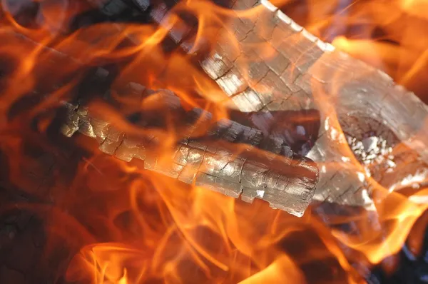 Burning branches — Stock Photo, Image