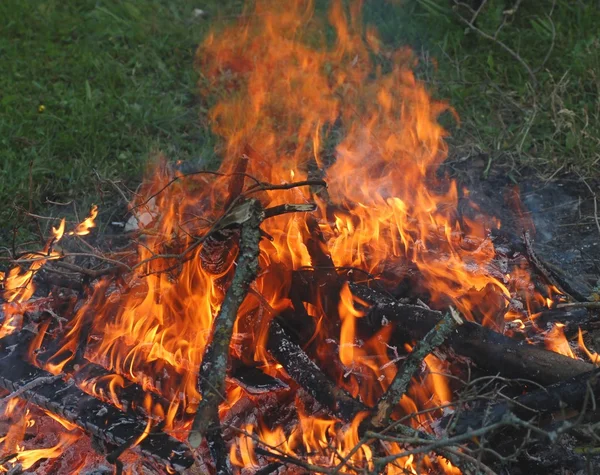 Burning branches — Stock Photo, Image