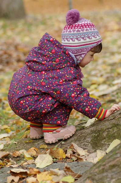 Portrait of baby in autumn park — Stock Photo, Image