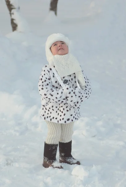 Portret van mooie baby in de winter Rechtenvrije Stockfoto's