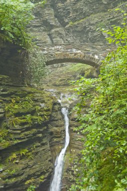 Watkins Glen Gorge